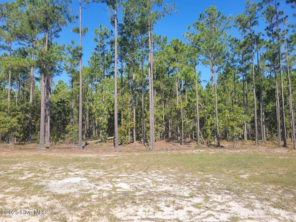 Photo of 2885 W Timber Crest Drive NE, Leland, NC 28451 (MLS # 100531888)