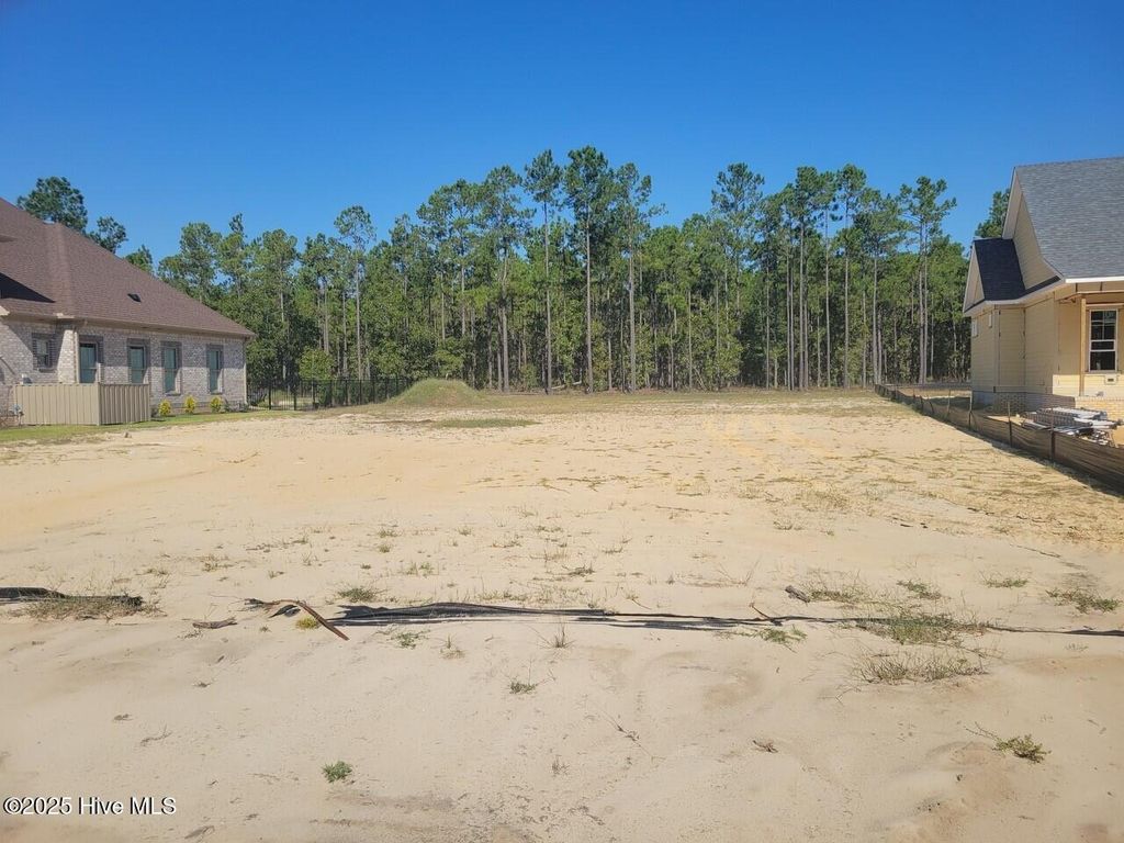 Photo of 2885 W Timber Crest Drive NE, Leland, NC 28451 (MLS # 100531888)