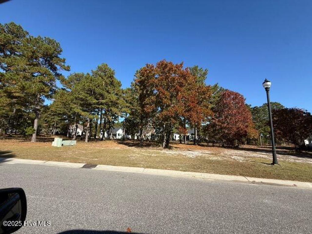Photo of 3808 Silver Melon Road NE, Leland, NC 28451 (MLS # 100541646)
