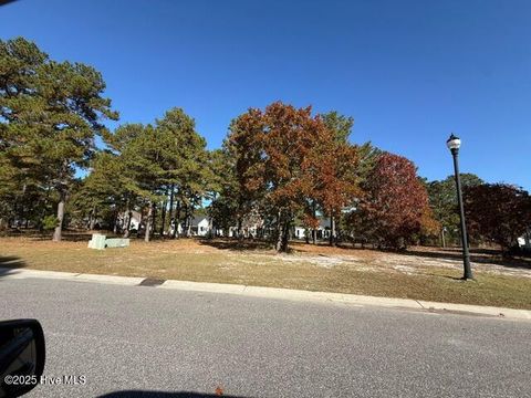 Photo of 3808 Silver Melon Road NE, Leland, NC 28451 (MLS # 100541646)