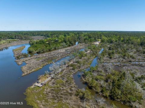 Tiny photo for 186 Snow Goose Lane, Sneads Ferry, NC 28460 (MLS # 100537043)