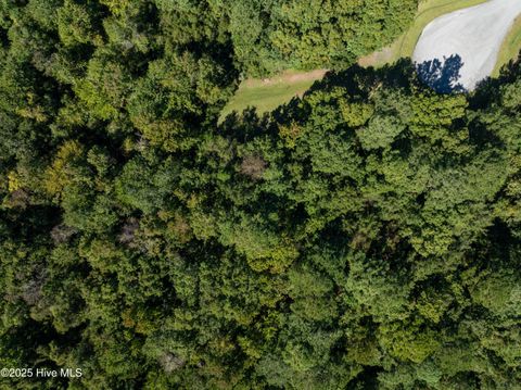 Tiny photo for 186 Snow Goose Lane, Sneads Ferry, NC 28460 (MLS # 100537043)