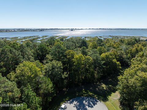 Tiny photo for 186 Snow Goose Lane, Sneads Ferry, NC 28460 (MLS # 100537043)