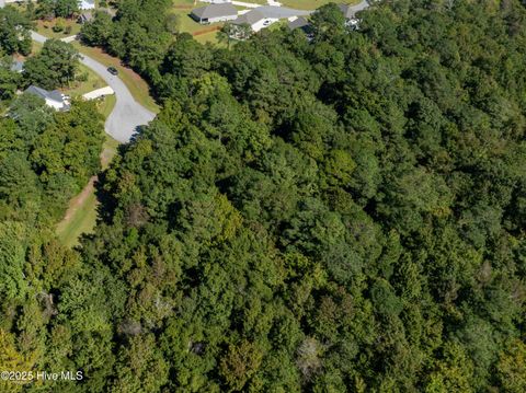 Tiny photo for 186 Snow Goose Lane, Sneads Ferry, NC 28460 (MLS # 100537043)