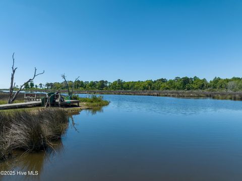 Tiny photo for 186 Snow Goose Lane, Sneads Ferry, NC 28460 (MLS # 100537043)