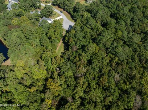 Tiny photo for 186 Snow Goose Lane, Sneads Ferry, NC 28460 (MLS # 100537043)