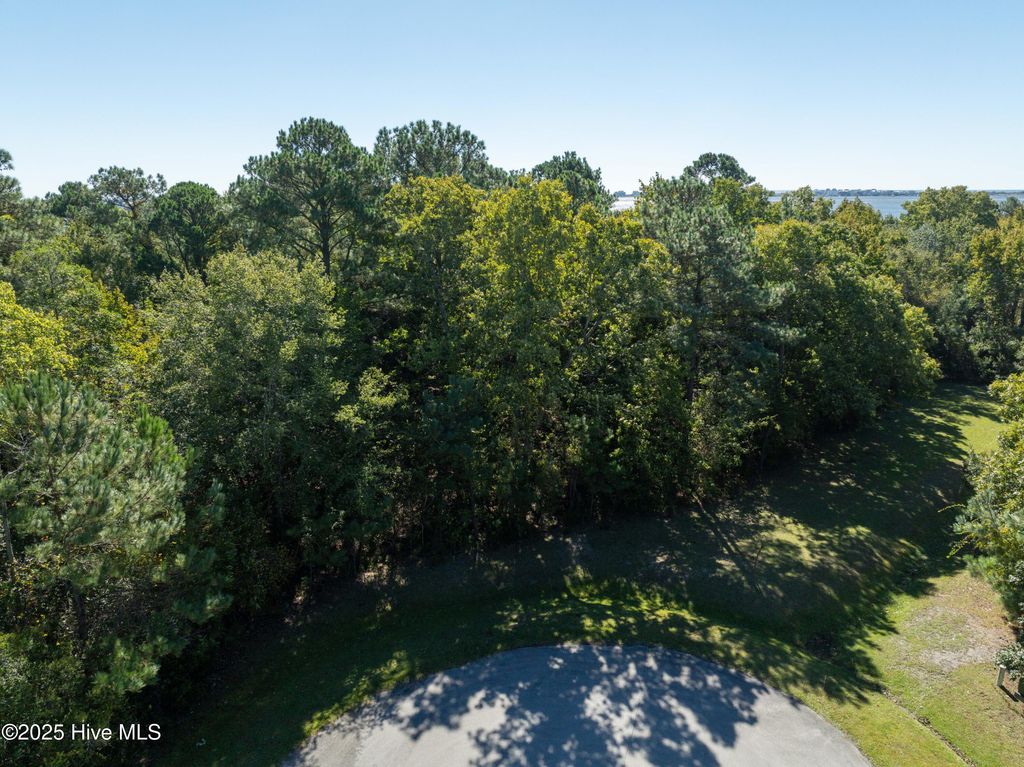Photo of 186 Snow Goose Lane, Sneads Ferry, NC 28460 (MLS # 100537043)