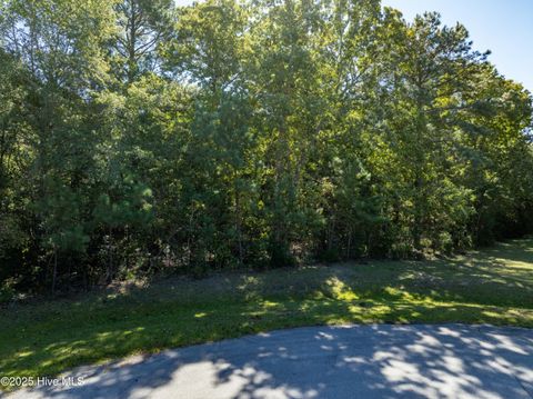 Tiny photo for 186 Snow Goose Lane, Sneads Ferry, NC 28460 (MLS # 100537043)