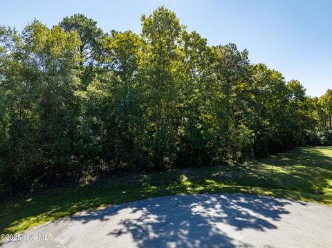 Tiny photo for 186 Snow Goose Lane, Sneads Ferry, NC 28460 (MLS # 100537043)