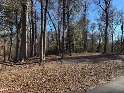 124 River Bluffs Drive Castle Hayne NC 28429