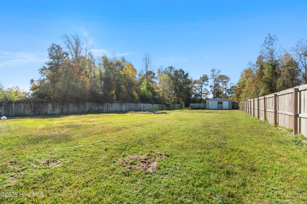 Photo of 212 Deer Haven Drive, Richlands, NC 28574 (MLS # 100542799)