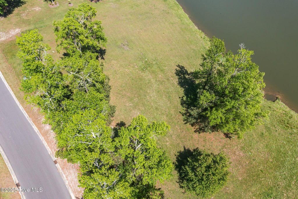 Photo of 259 Sycamore Forest Drive, Wallace, NC 28466 (MLS # 100501068)
