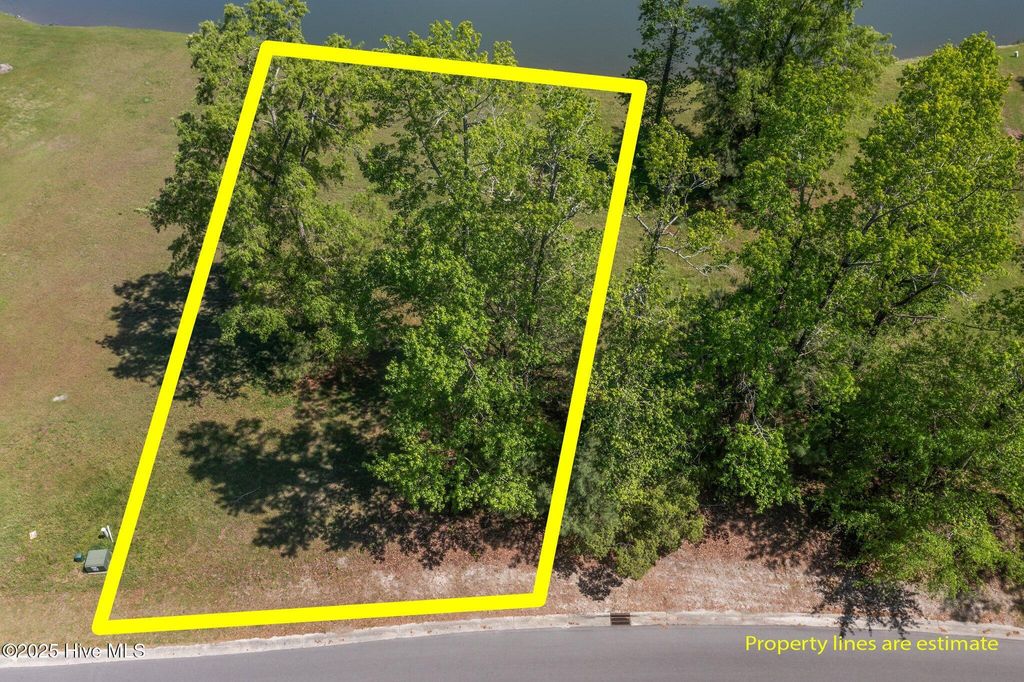 Photo of 259 Sycamore Forest Drive, Wallace, NC 28466 (MLS # 100501068)