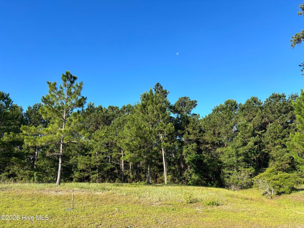 Photo of 959 Ashburton Road SE, Bolivia, NC 28422 (MLS # 100520842)