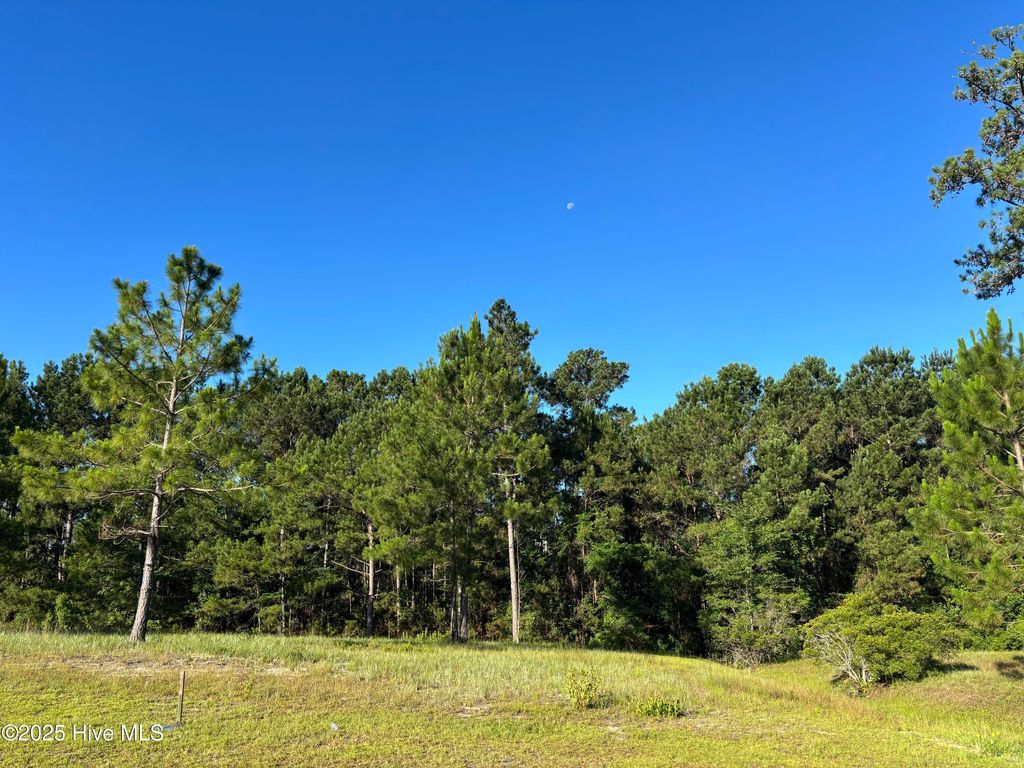 Photo of 959 Ashburton Road SE, Bolivia, NC 28422 (MLS # 100520842)