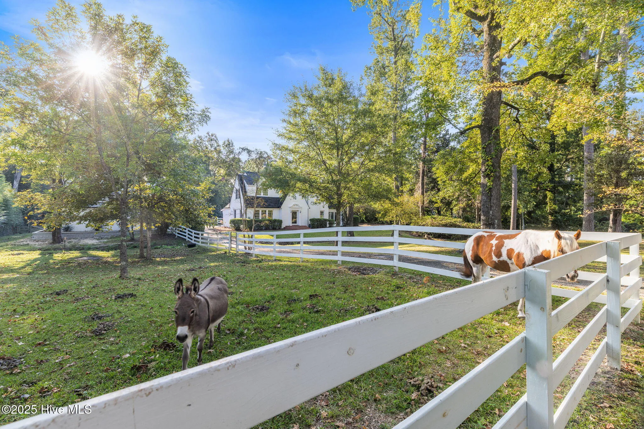 Wilmington, North Carolina 28401, United States, 3 Bedrooms Bedrooms, ,3 BathroomsBathrooms,Residential,Active,220044