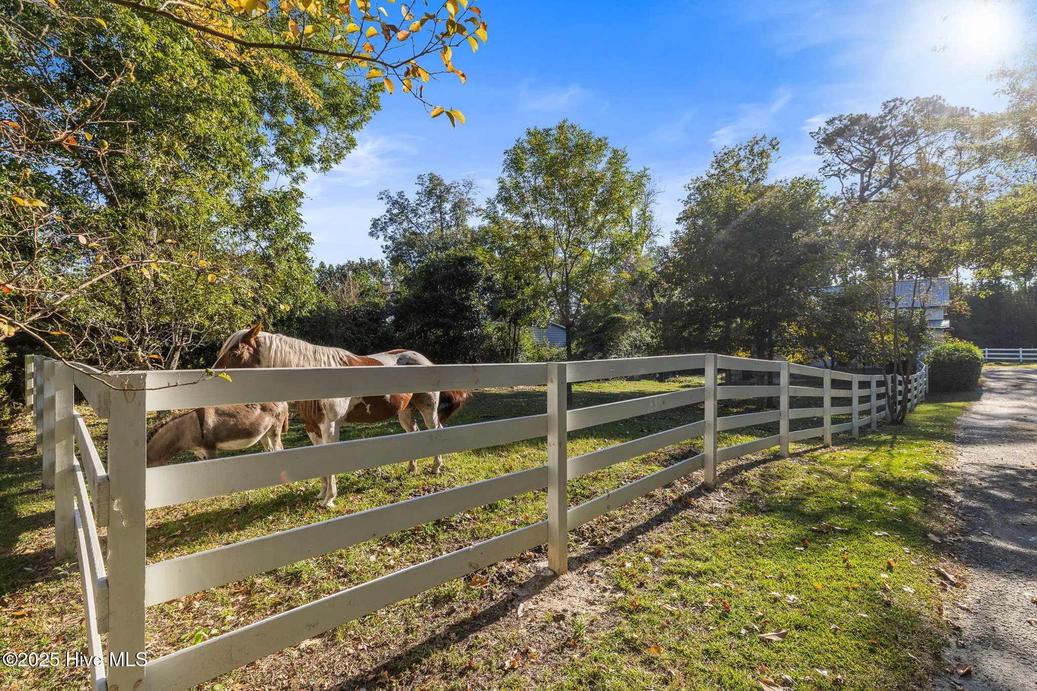Wilmington, North Carolina 28401, United States, 3 Bedrooms Bedrooms, ,3 BathroomsBathrooms,Residential,Active,220044
