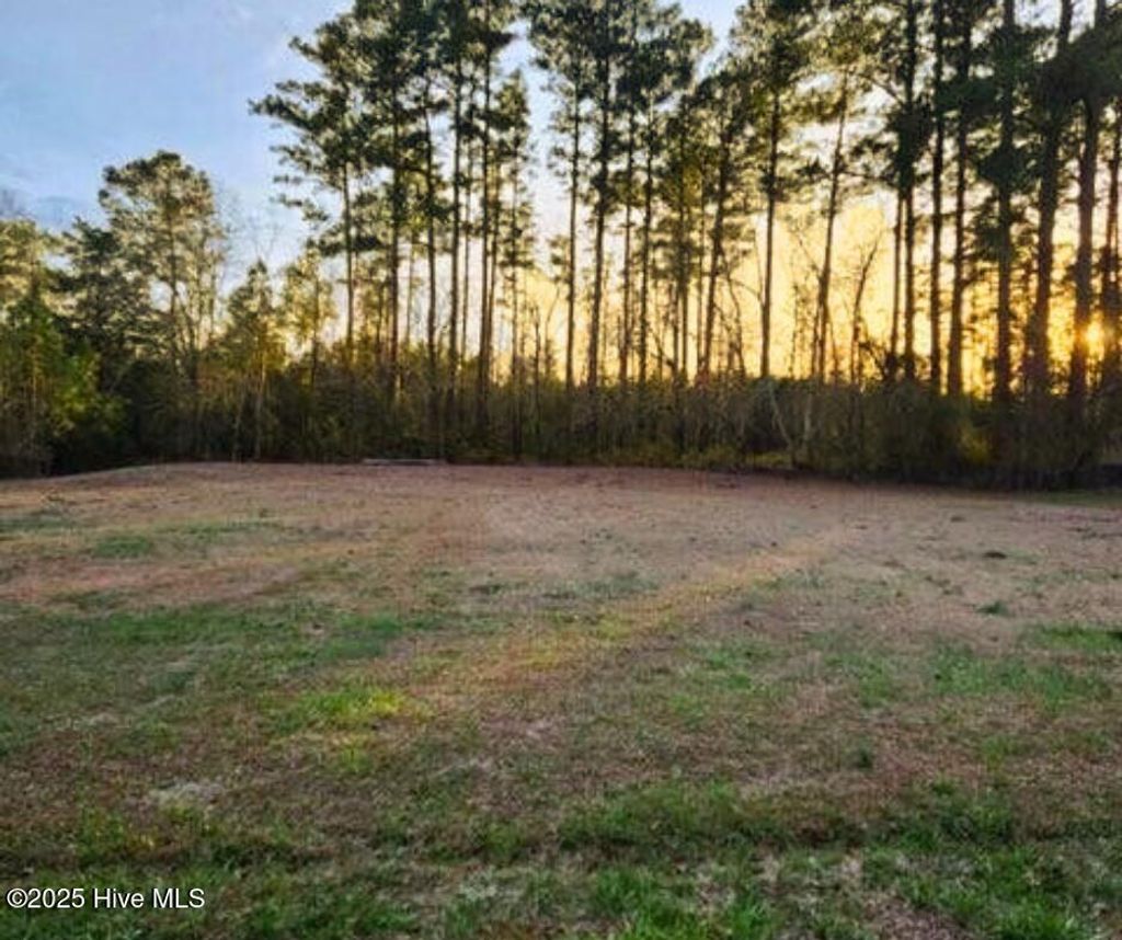 Photo of 200 Hickory Street, Oriental, NC 28571 (MLS # 100491359)