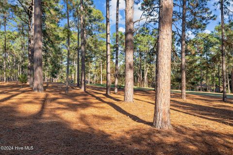 A home in Southern Pines