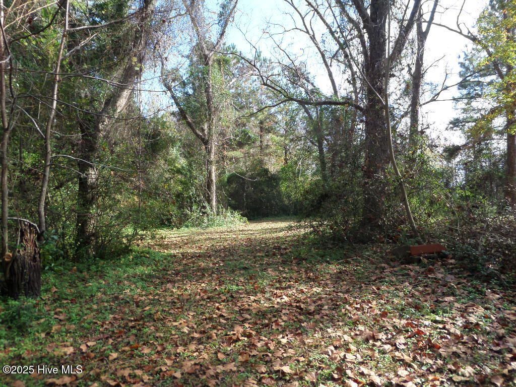 Photo of 7682 Kershaw Road, Arapahoe, NC 28510 (MLS # 100542961)