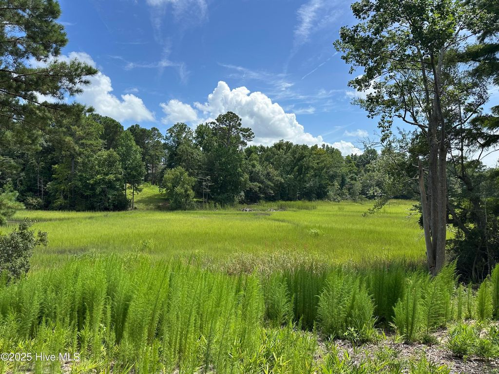 Photo of 1 Williams Store Rd Road, Hampstead, NC 28443 (MLS # 100484662)