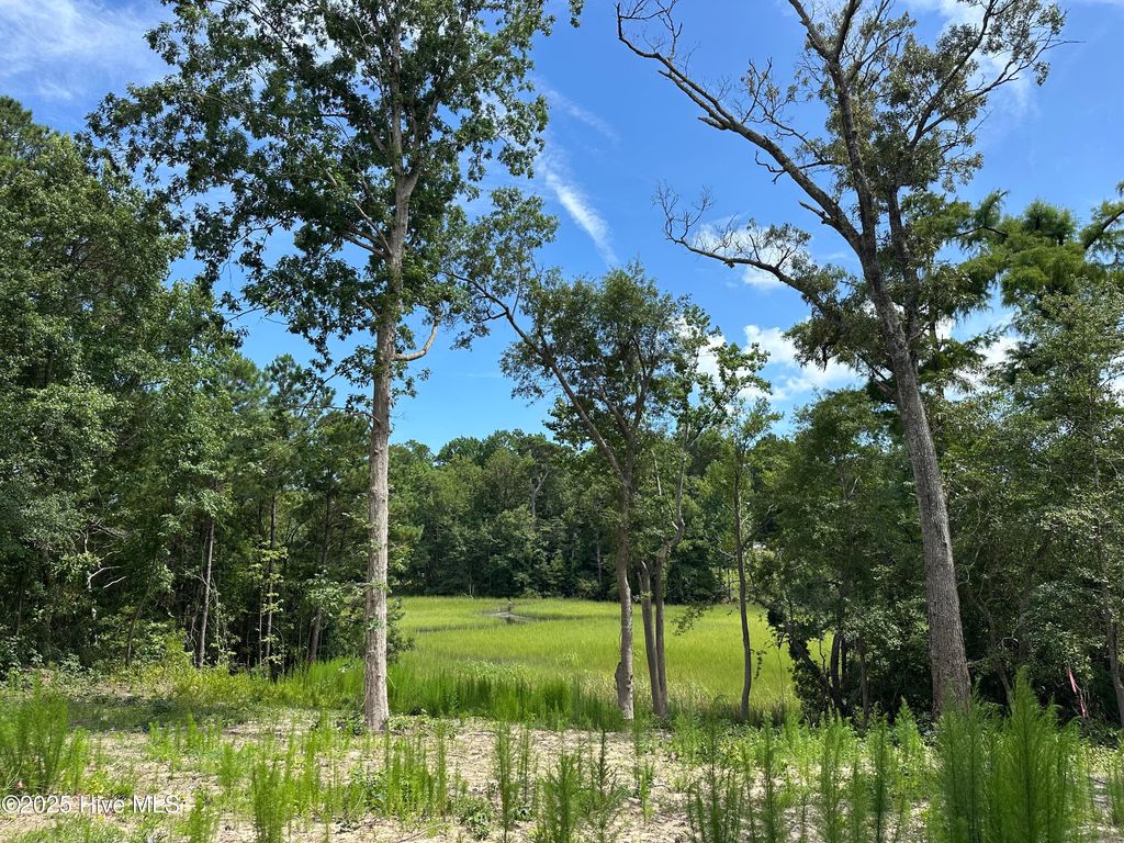 Photo of 1 Williams Store Rd Road, Hampstead, NC 28443 (MLS # 100484662)