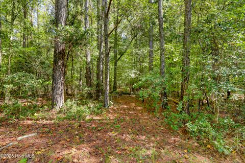 Tiny photo for 138 Pink Lane, Jacksonville, NC 28540 (MLS # 100535543)