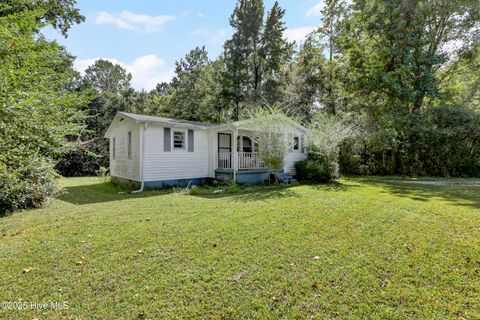 Tiny photo for 138 Pink Lane, Jacksonville, NC 28540 (MLS # 100535543)