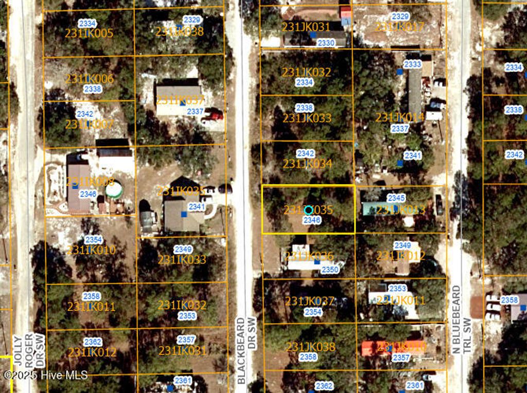 Photo of 2346 Blackbeard Drive SW, Supply, NC 28462 (MLS # 100503295)