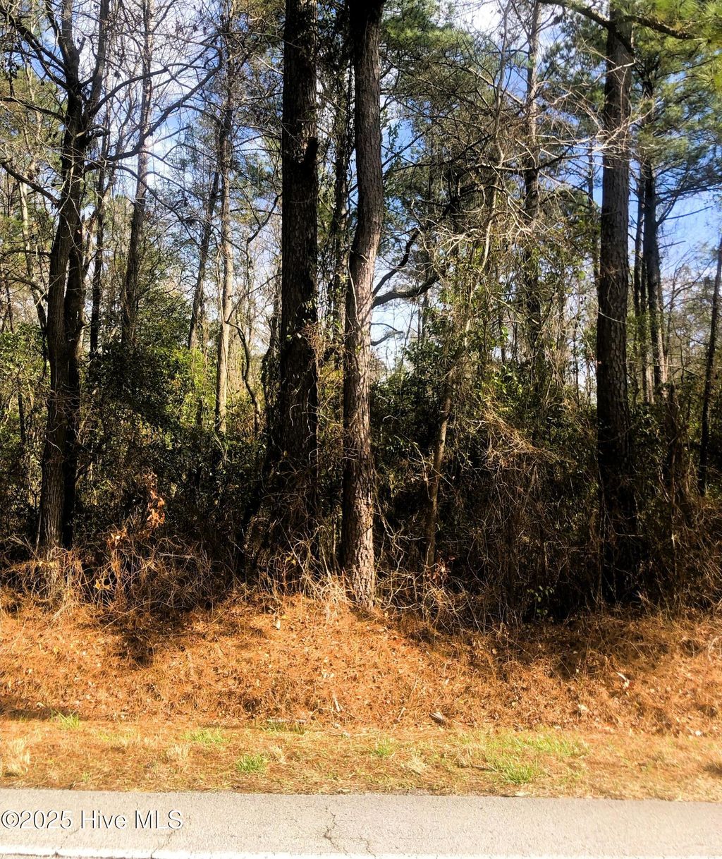 Photo of 0 Deppe Road, Maysville, NC 28555 (MLS # 100492947)