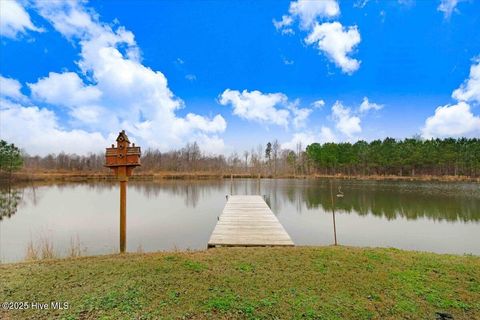 A home in Mount Olive