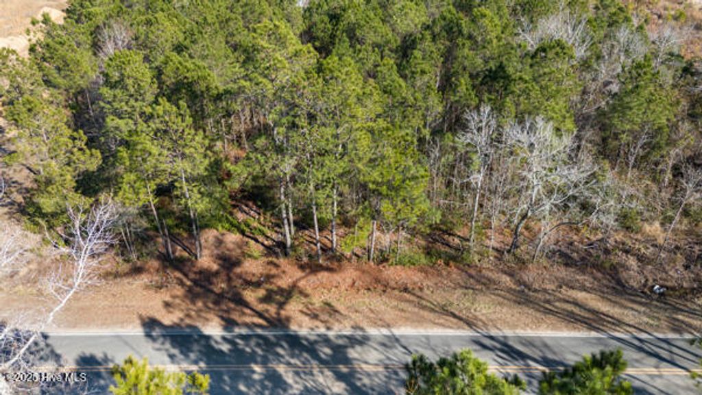 Photo for 0 Swain Road, Winnabow, NC 28479 (MLS # 100487087)