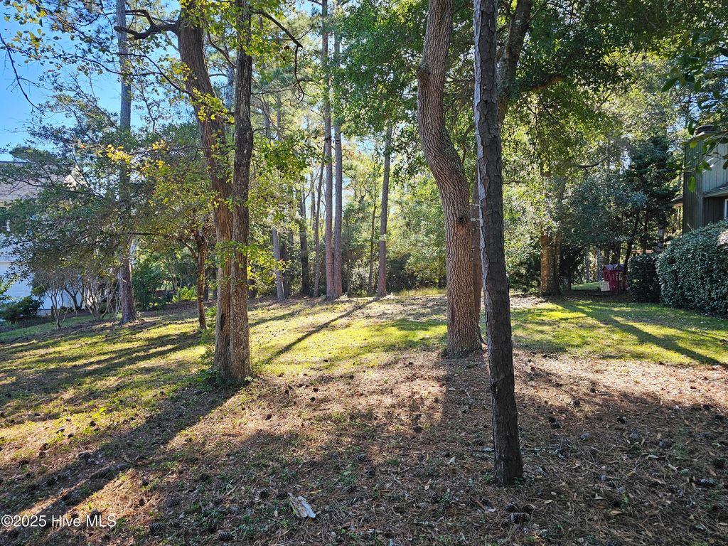 Photo of 3239 Marsh View Drive, Supply, NC 28462 (MLS # 100538007)