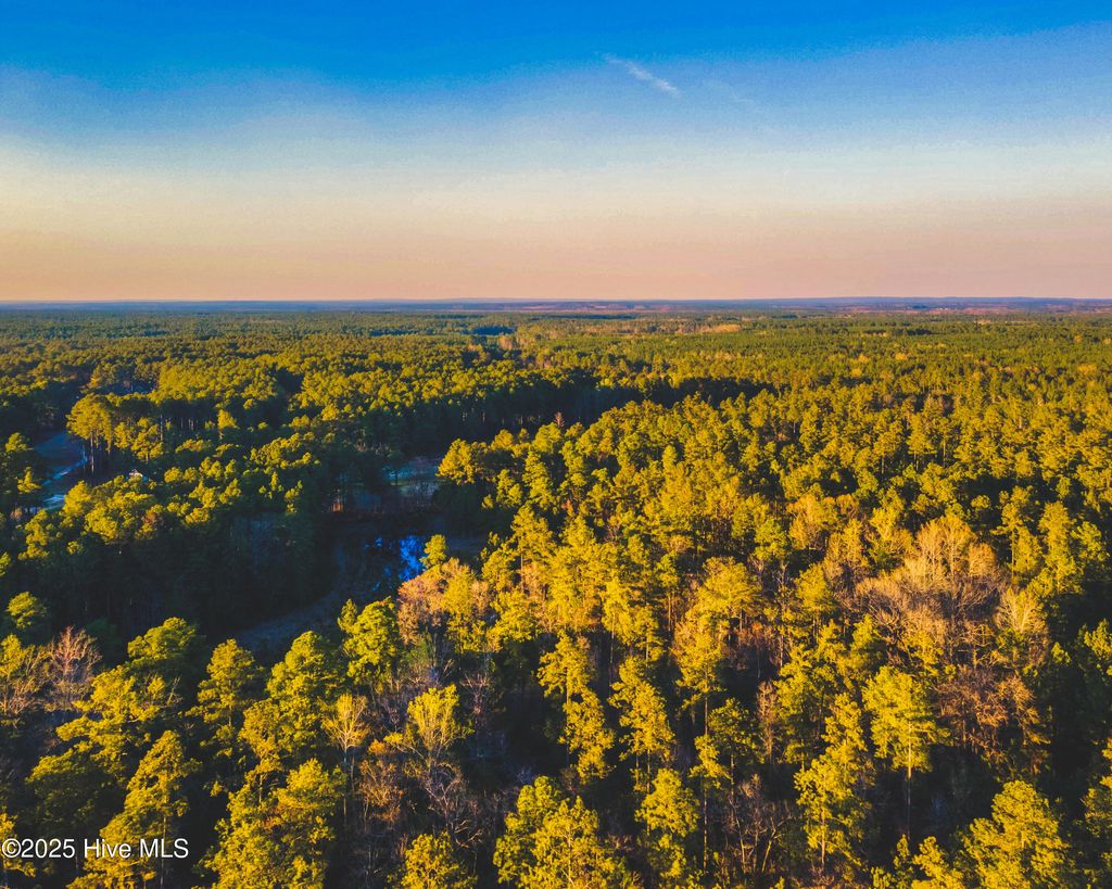 Photo of 9 Peach Orchard Road, Wagram, NC 28396 (MLS # 100536636)