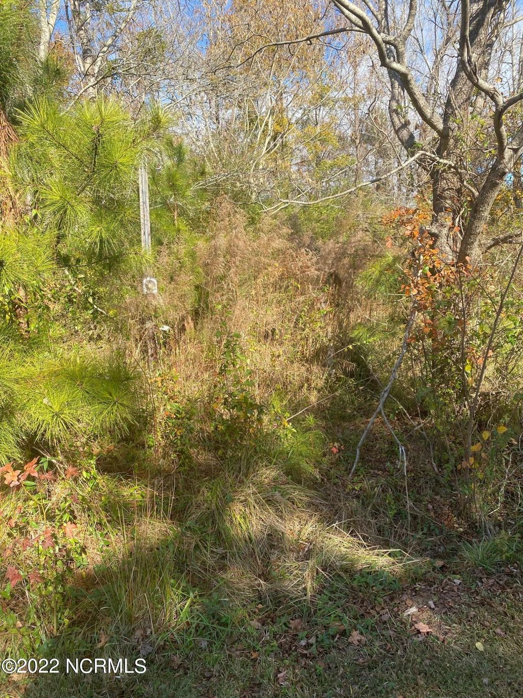 Photo of 1204 Carr Lane, Robersonville, NC 27871 (MLS # 100536060)