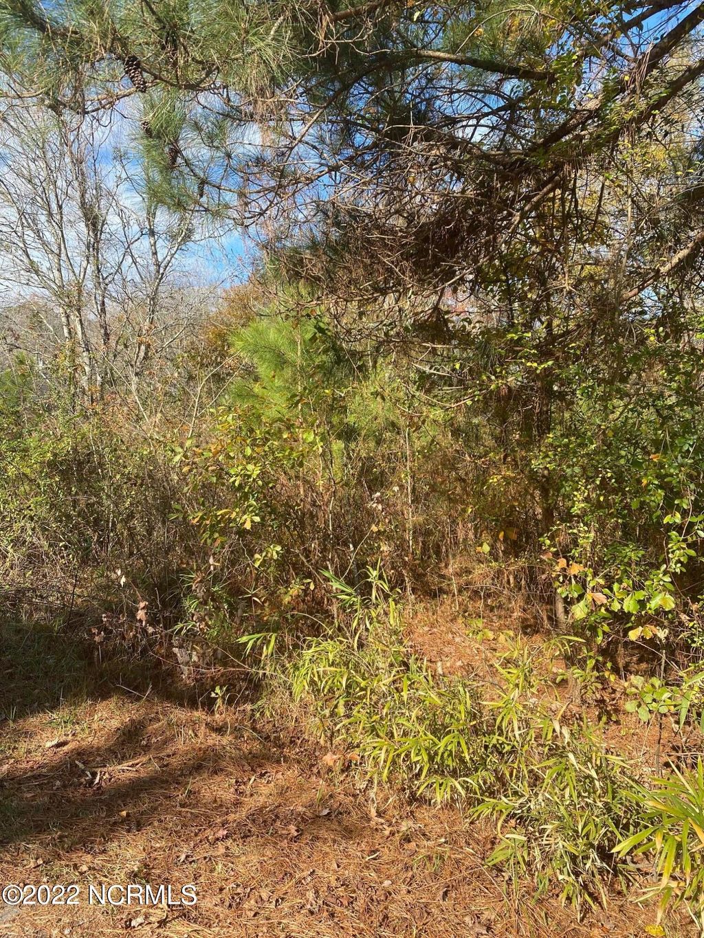 Photo of 1204 Carr Lane, Robersonville, NC 27871 (MLS # 100536060)