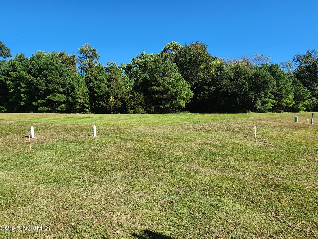 Photo of 121 Whispering Pine Lane, Holly Ridge, NC 28445 (MLS # 100535836)