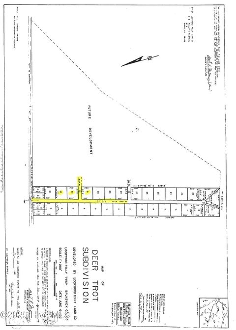 Tiny photo for 3133 Deer Trot Road, Bolivia, NC 28422 (MLS # 100543996)