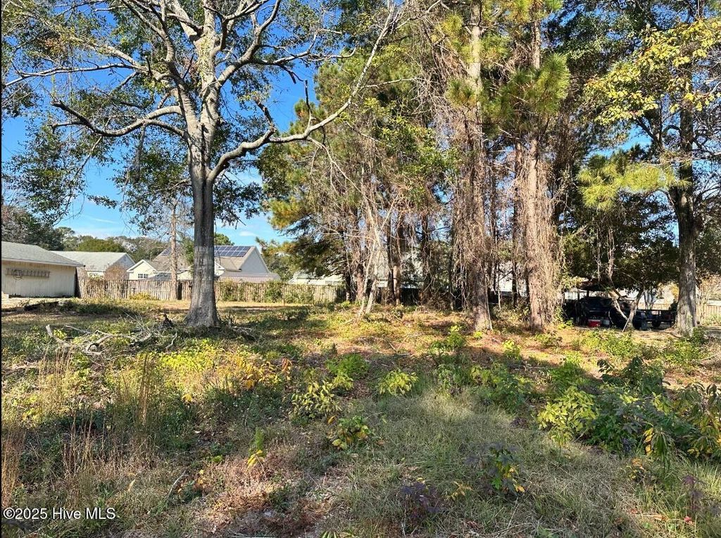 Photo of 9202 Shady Forest Drive, Calabash, NC 28467 (MLS # 100532050)