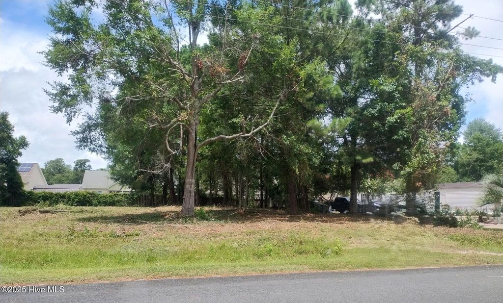 Photo of 9202 Shady Forest Drive, Calabash, NC 28467 (MLS # 100532050)