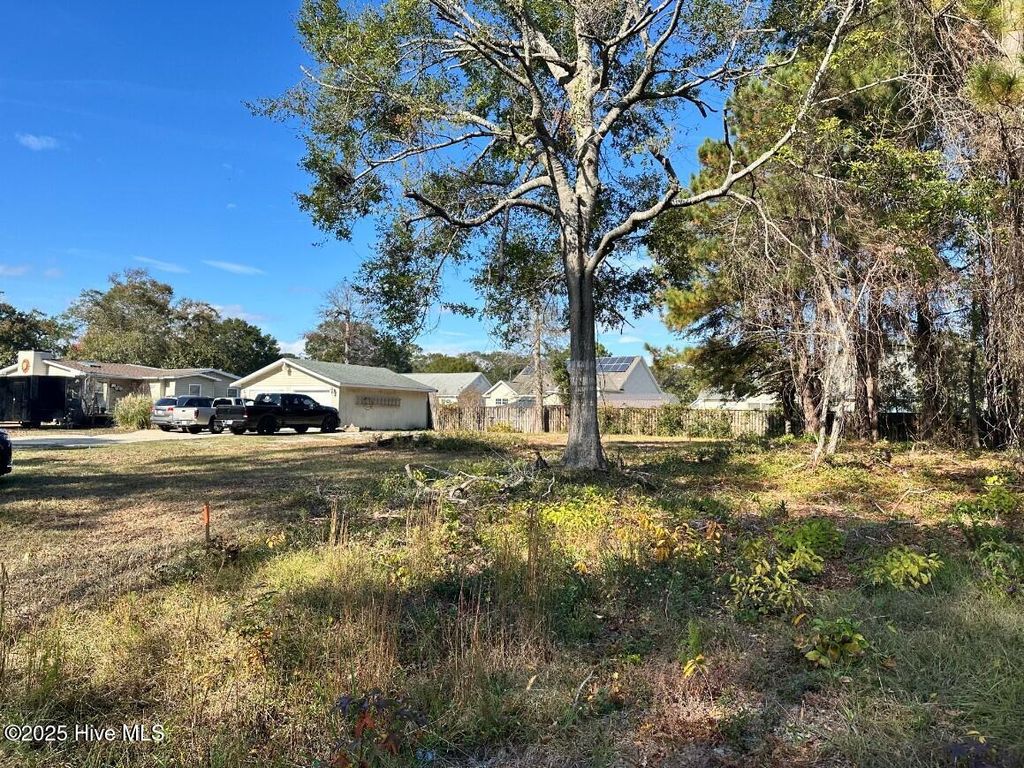 Photo of 9202 Shady Forest Drive, Calabash, NC 28467 (MLS # 100532050)