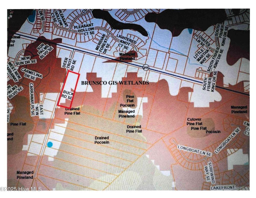 Photo of 3133 Deer Trot Road, Bolivia, NC 28422 (MLS # 100543983)