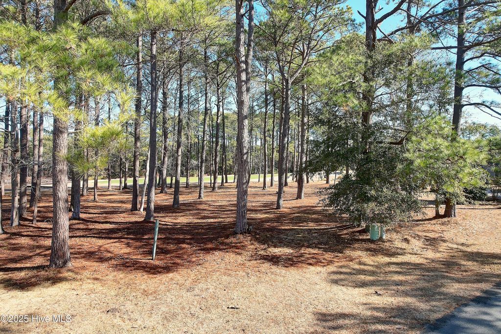 Photo of 43 Kings Trail, Sunset Beach, NC 28468 (MLS # 100485788)