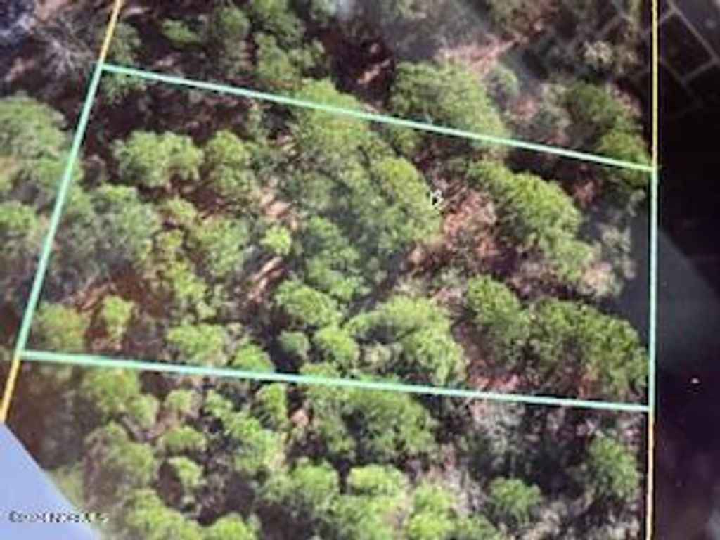 Photo of 249 S Horsepen Drive, Harrells, NC 28444 (MLS # 100466154)