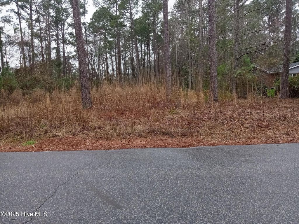 Photo of 510 E Oliver Street, Whiteville, NC 28472 (MLS # 100488422)