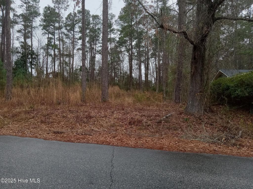 Photo of 510 E Oliver Street, Whiteville, NC 28472 (MLS # 100488422)