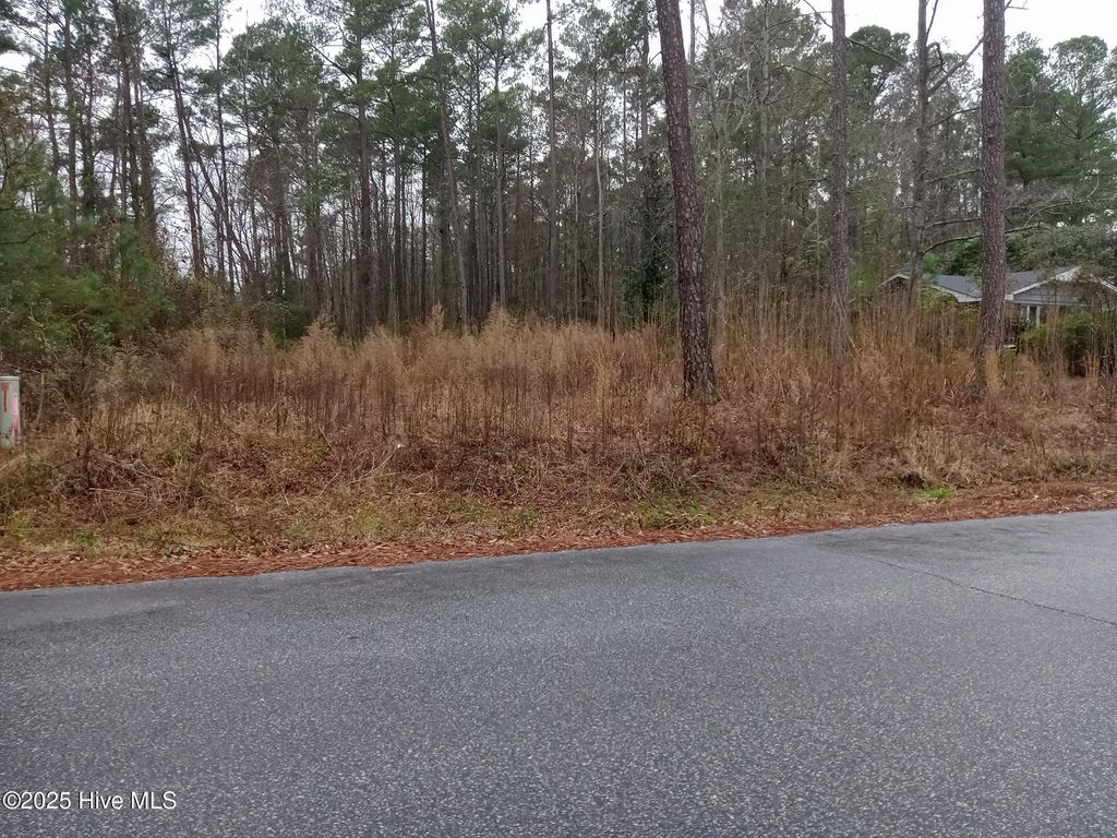 Photo of 510 E Oliver Street, Whiteville, NC 28472 (MLS # 100488422)