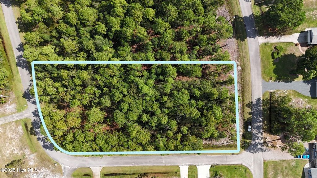 Photo of 204 Masters Drive, Boiling Spring Lakes, NC 28461 (MLS # 100536366)