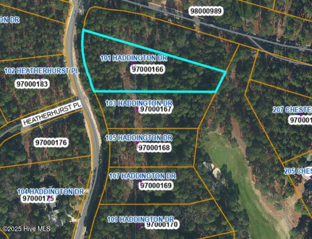 Photo of 101 Haddington Drive, Pinehurst, NC 28374 (MLS # 100536631)