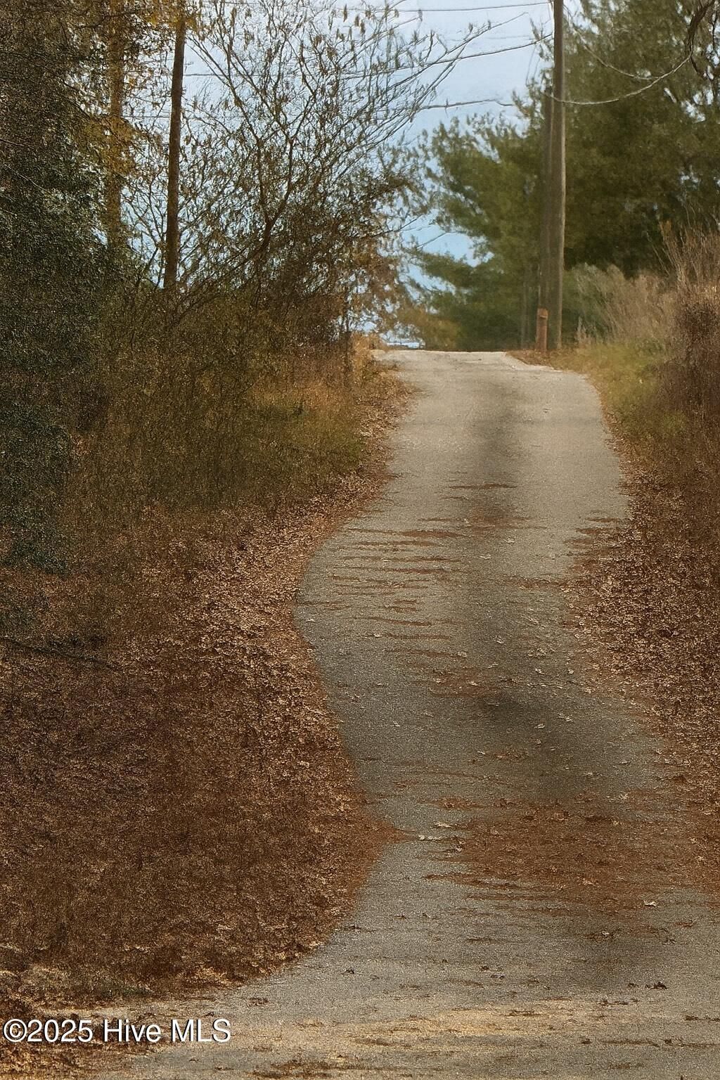 Photo of 00 Russell Hogan Lane, Coats, NC 27521 (MLS # 100543098)